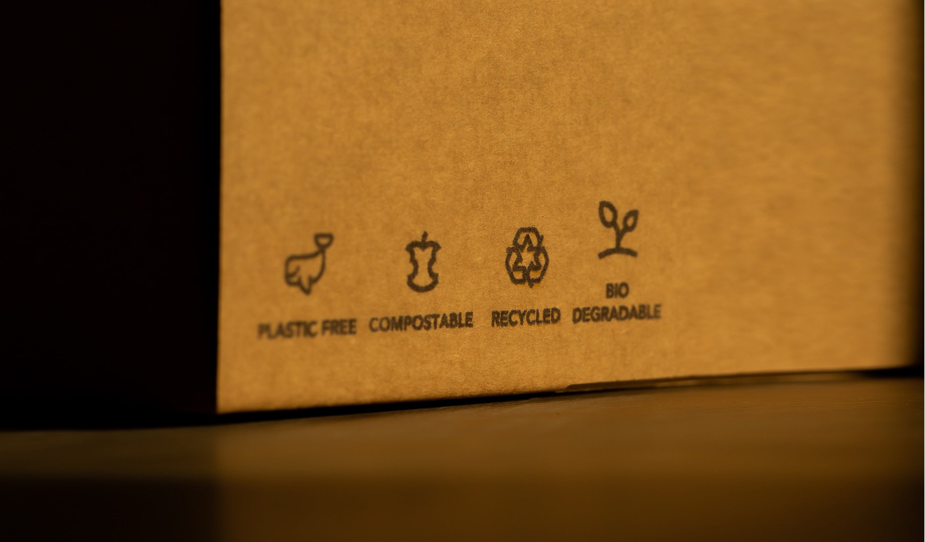 Do Compostables Break Down in Landfills?