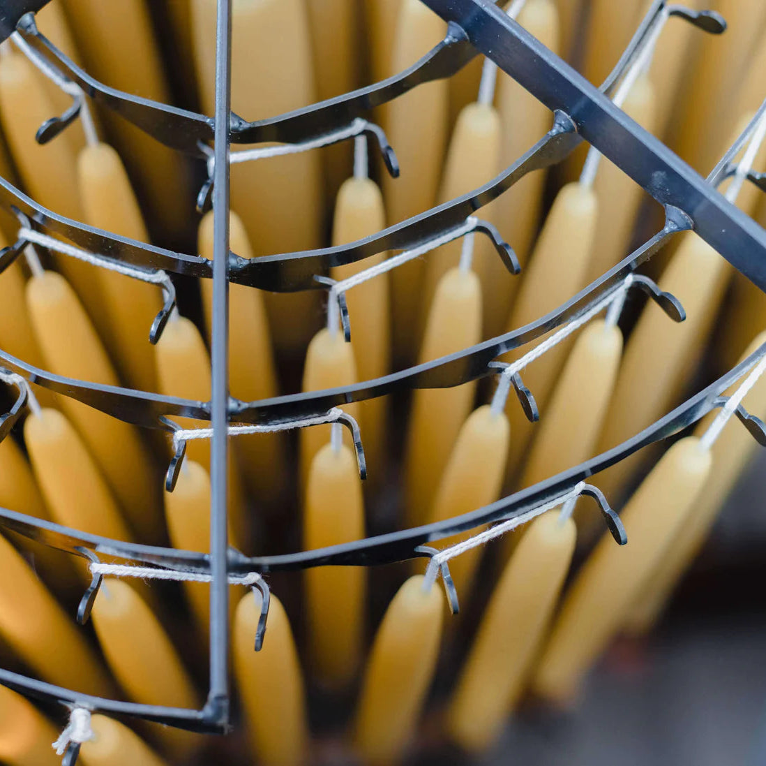 Beeswax Taper Candles – Dripless & Handmade in USA