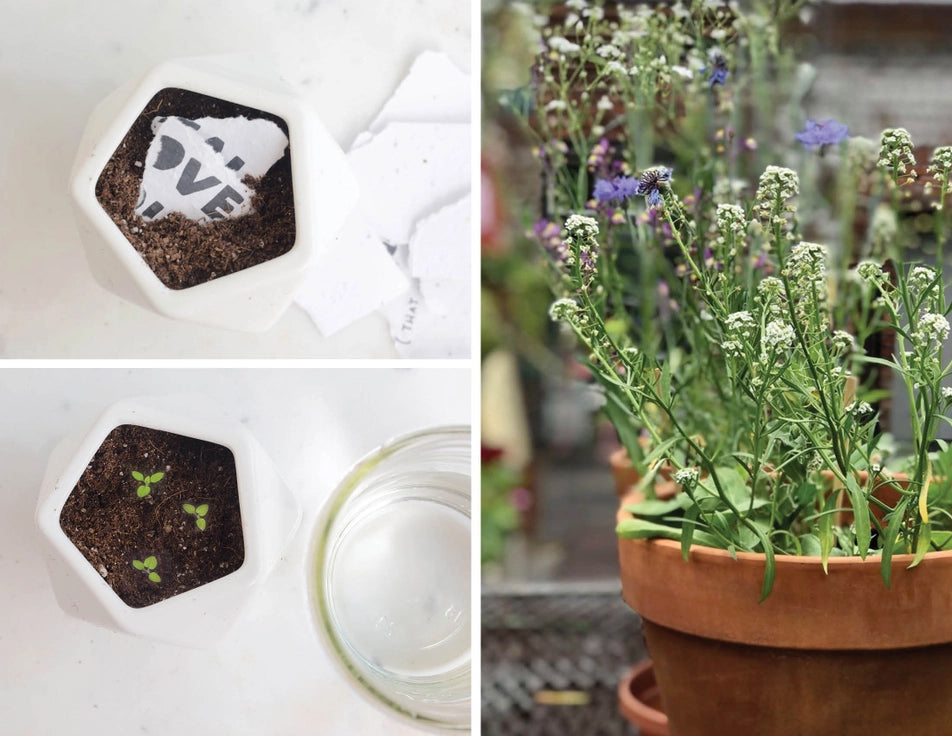 Seed paper Christmas cards - the good fill