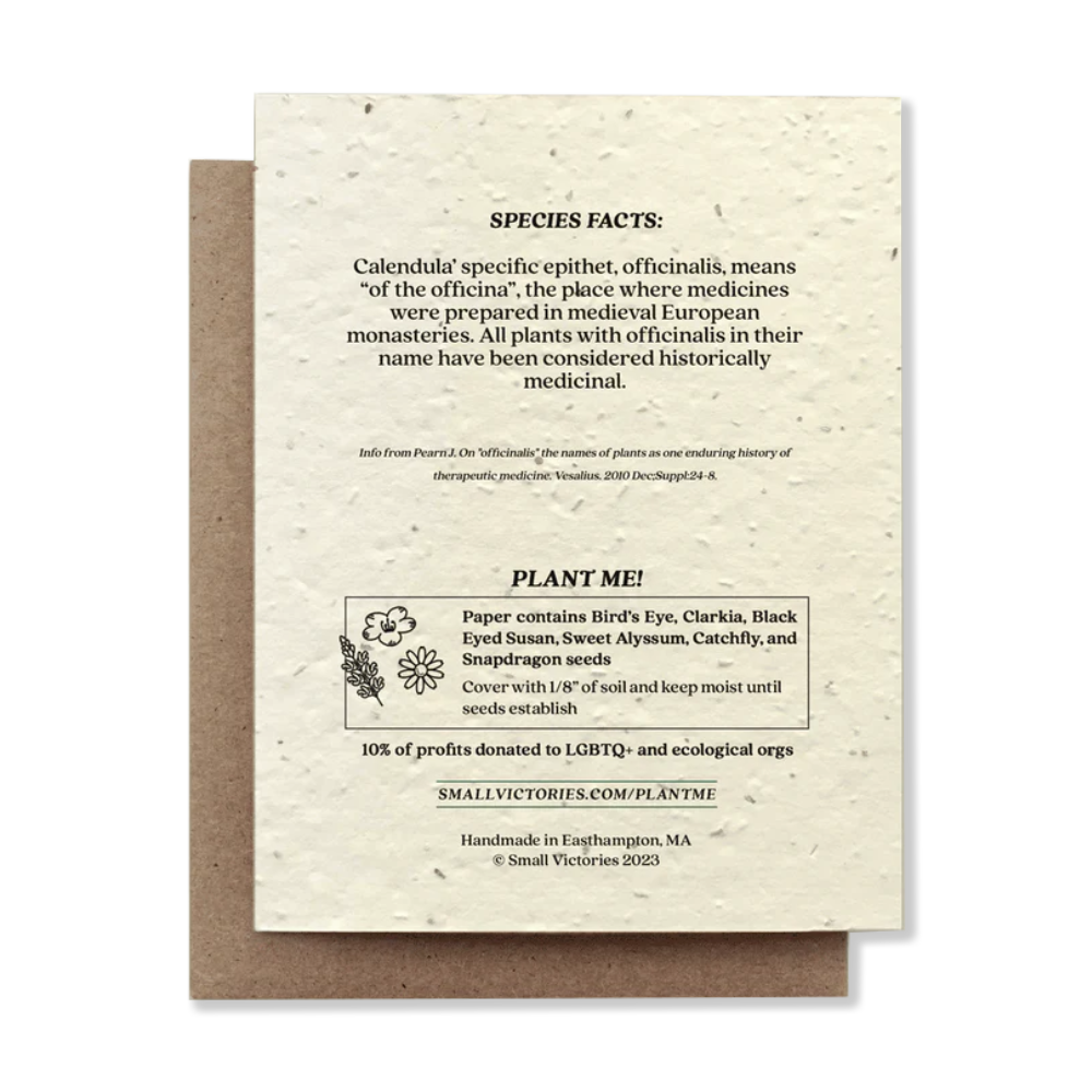Plantable greeting cards - the good fill