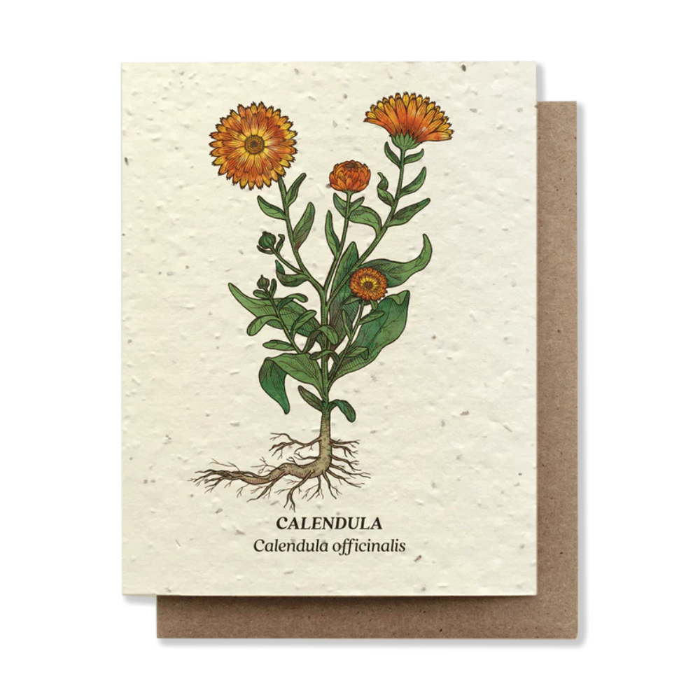 Plantable greeting cards - the good fill