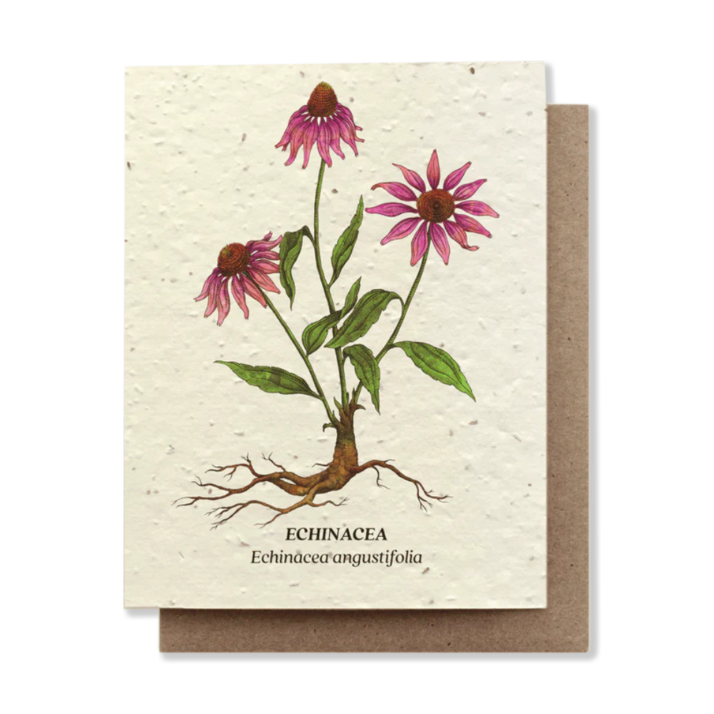 Plantable greeting cards - the good fill
