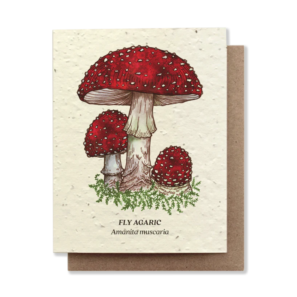 Plantable greeting cards - the good fill