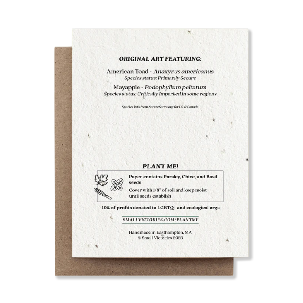 zero waste plantable greeting cards - the good fill