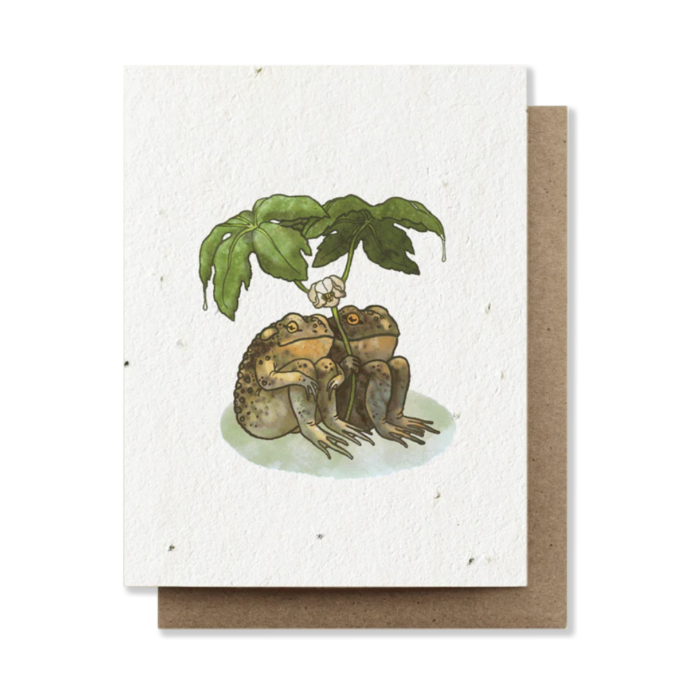 Zero waste plantable greeting cards - the good fill