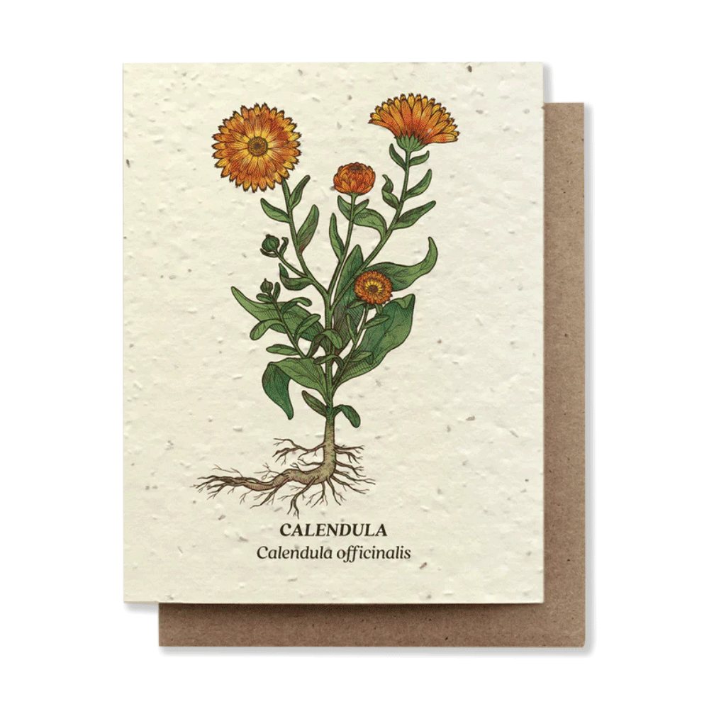 Plantable greeting cards - the good fill