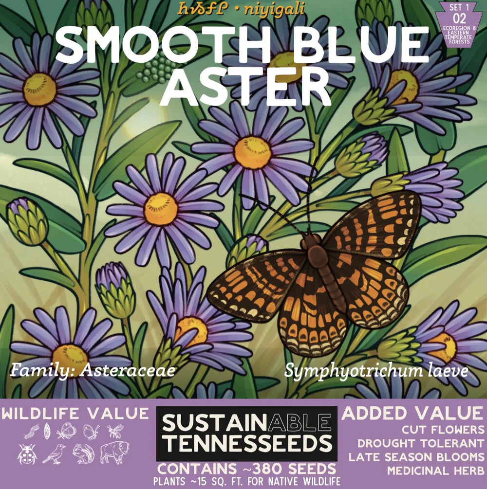 smooth blue aster wildflower seeds - the good fill