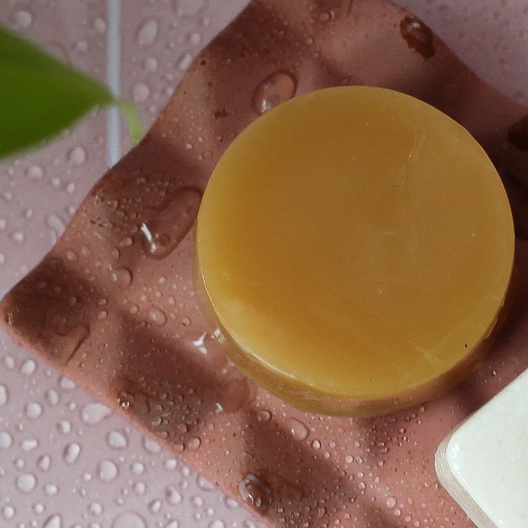 zero waste conditioner bar by dip