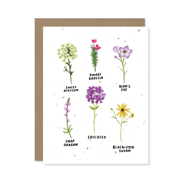 Plantable Flower Seed Paper Cards A6 Thinking of You Love, Miss You,  Friends, Family, Greeting, Gardening, Eco-friendly, Biodegradable 