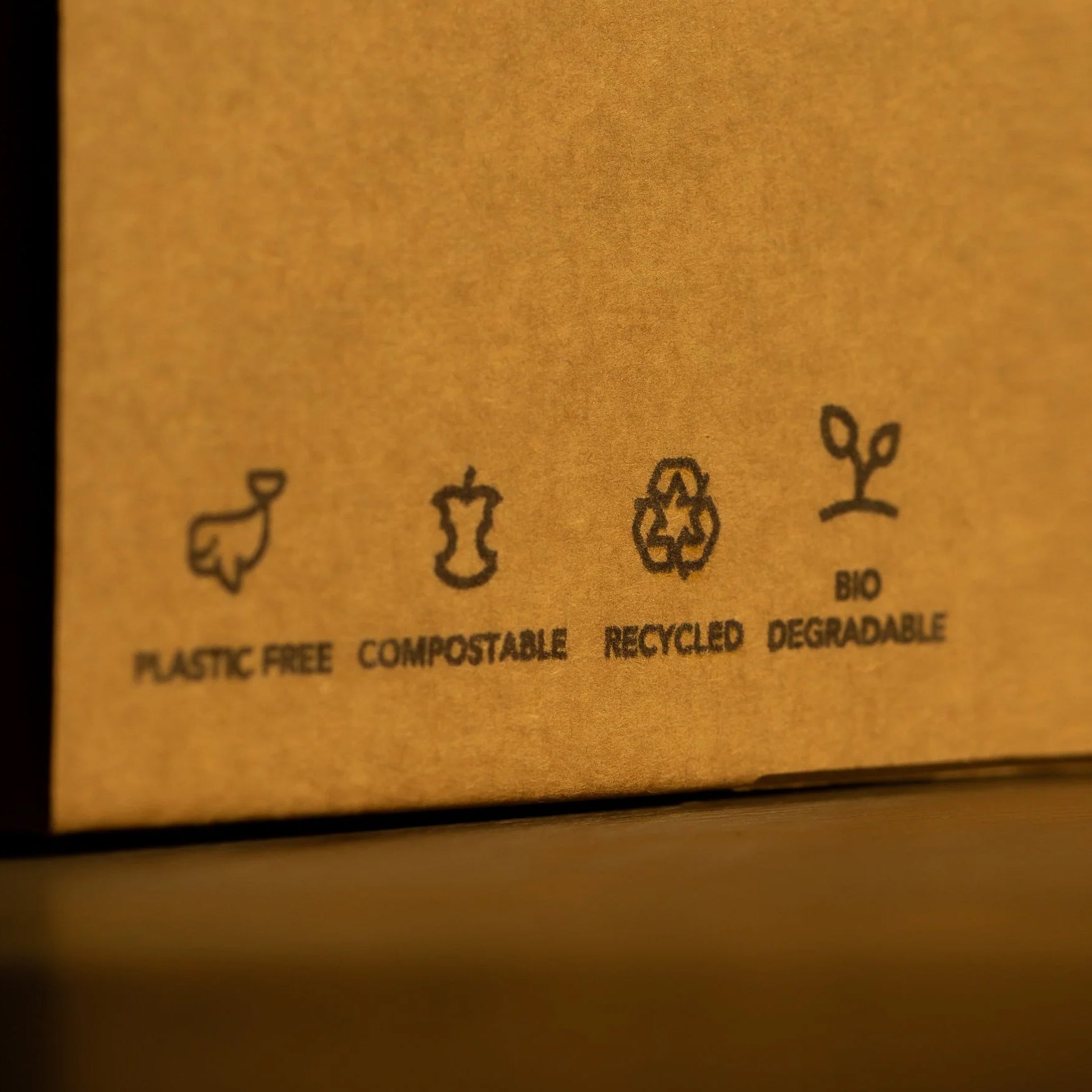 Do Compostables Break Down in Landfills?