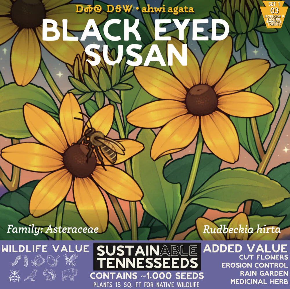 black eyed susan wildflower seeds - the good fill