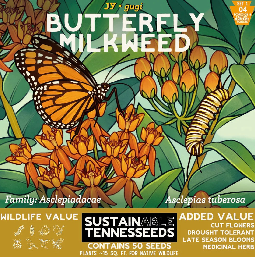 butterfly milkweed wildflower seeds - the good fill