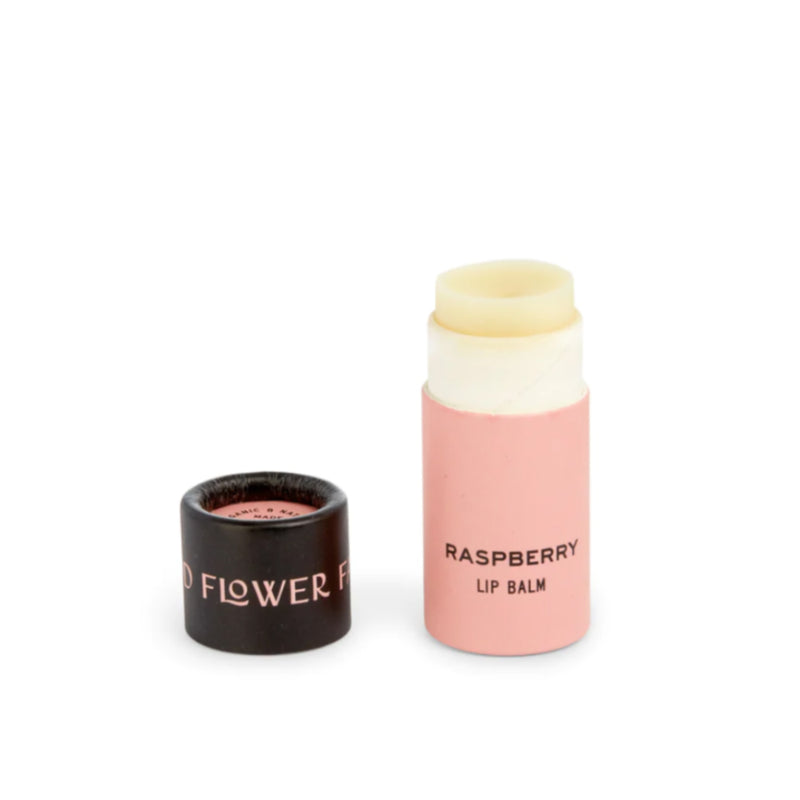 Beeswax lip balm in a zero waste compostable tube - The Good Fill