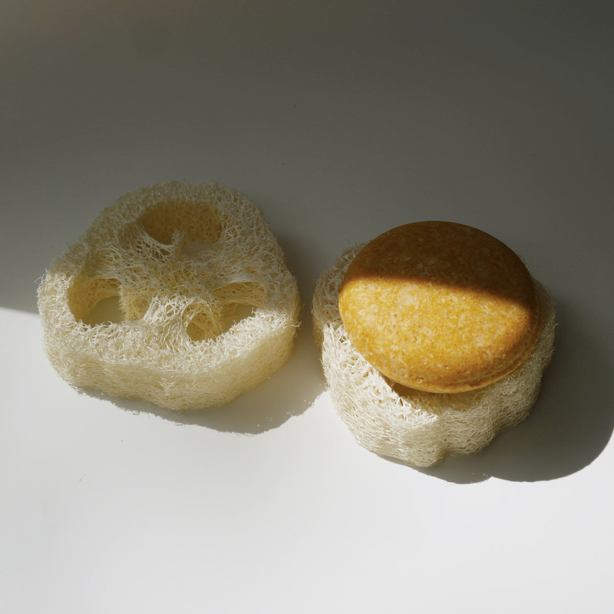 Natural Loofah Sponge