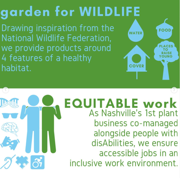 sustainable native tennessee wildflower seeds - the good fill