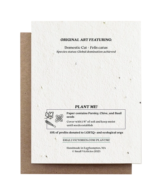 plantable blank greeting cards - the good fill