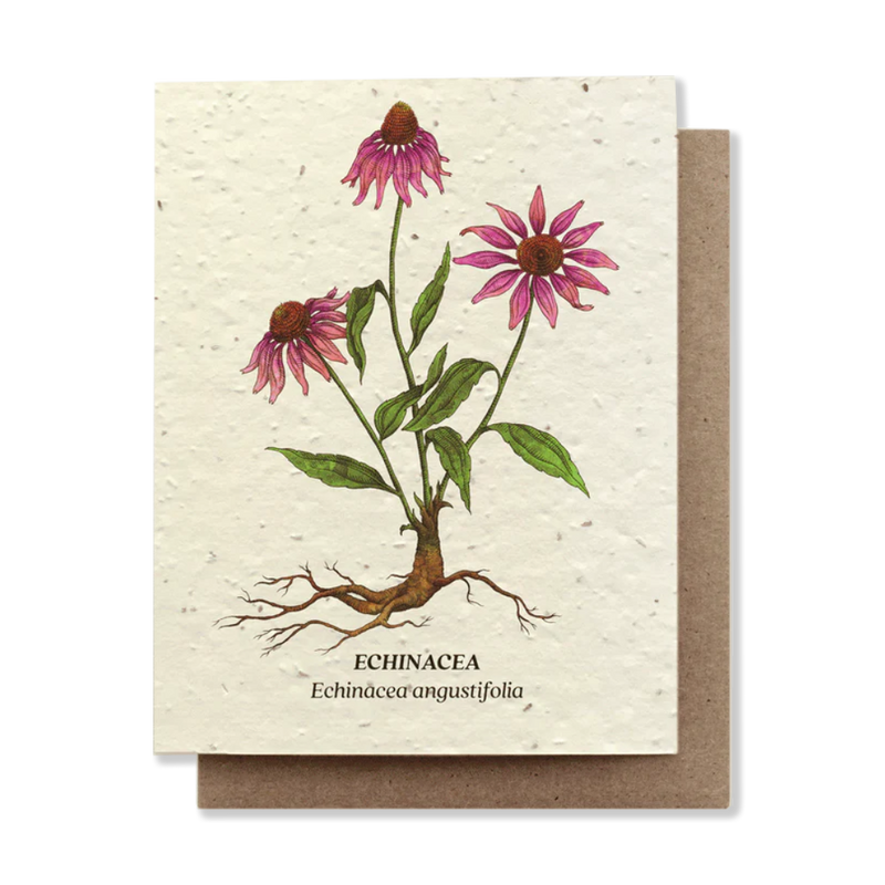 Plantable greeting cards - the good fill