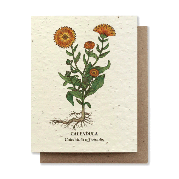 Plantable greeting cards - the good fill