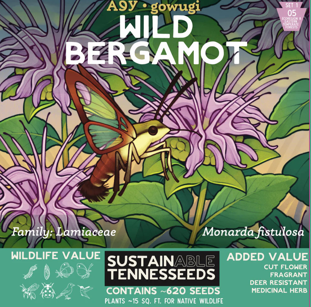 wild bergamot wildflower seeds - the good fill