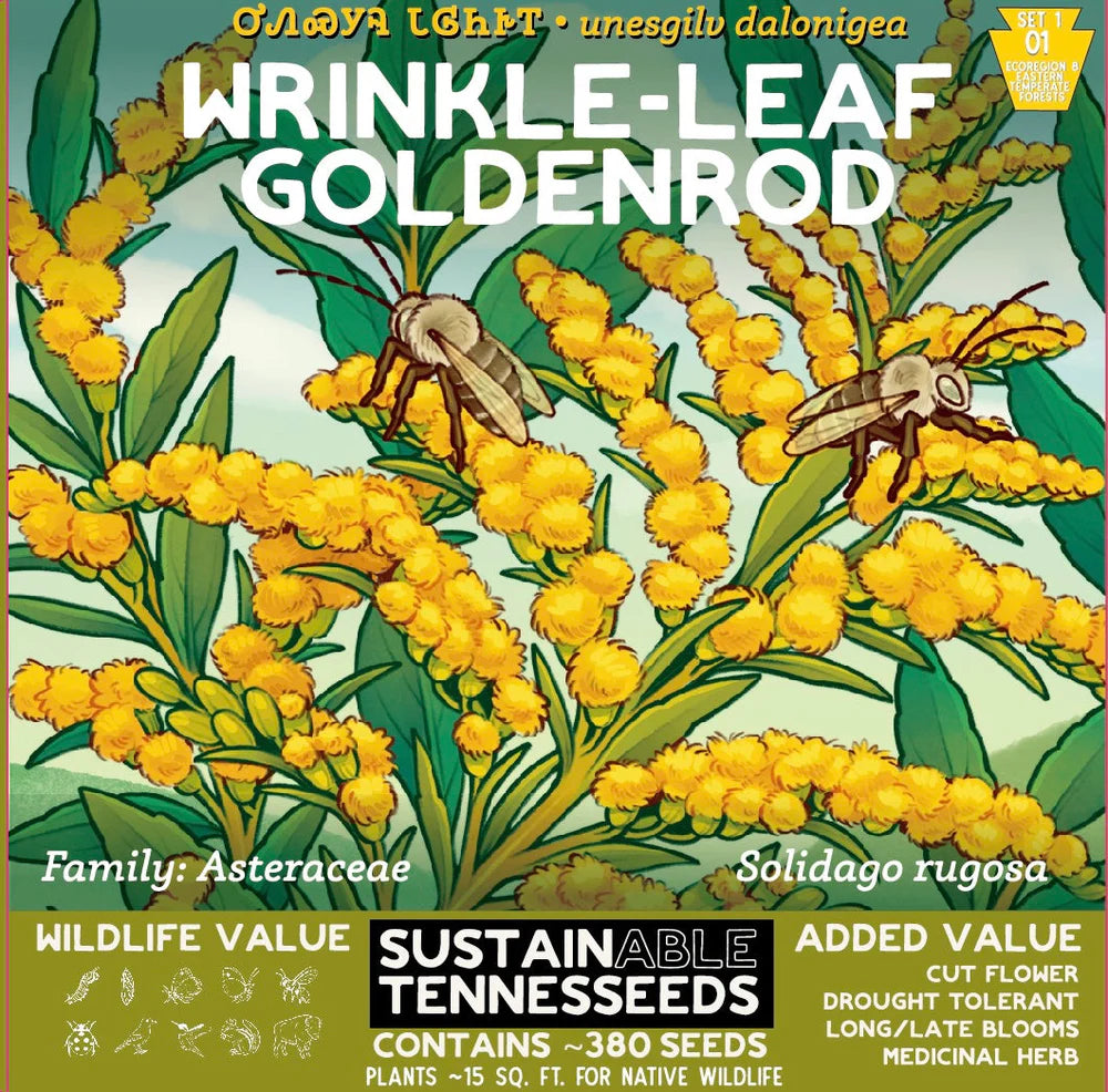 native tennessee wildflower seeds - the good fill