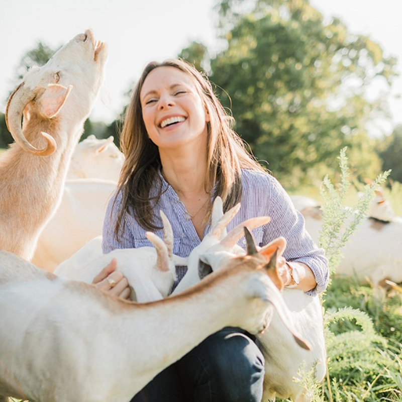 happy goats at little seed farm