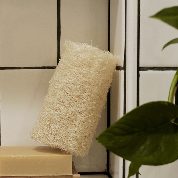 natural loofah sponge sitting next to a bar of soap