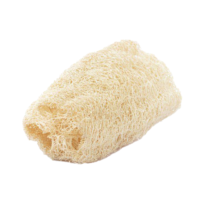 natural loofah sponge